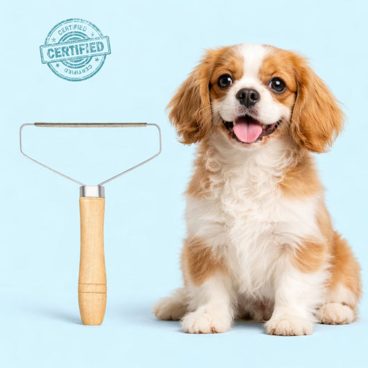 Pet hair remover